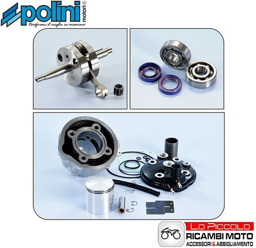 Kit polini gruppo cilindro - polini,
