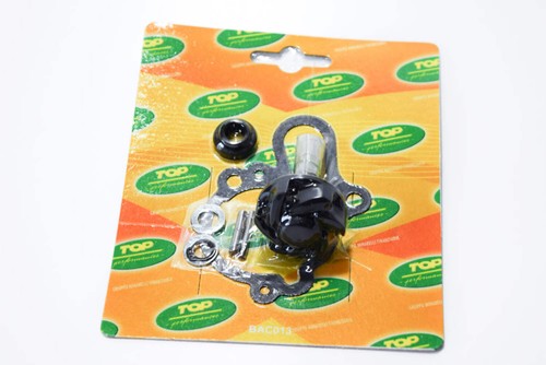 Aa00789 kit revisione pompa - aa00789,